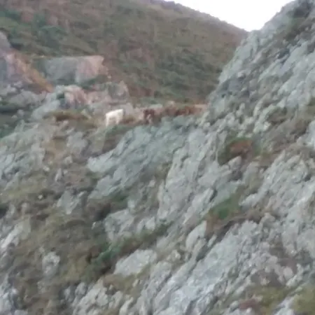 Muiño Cañotas *